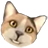 Gravity Cat Not Amused